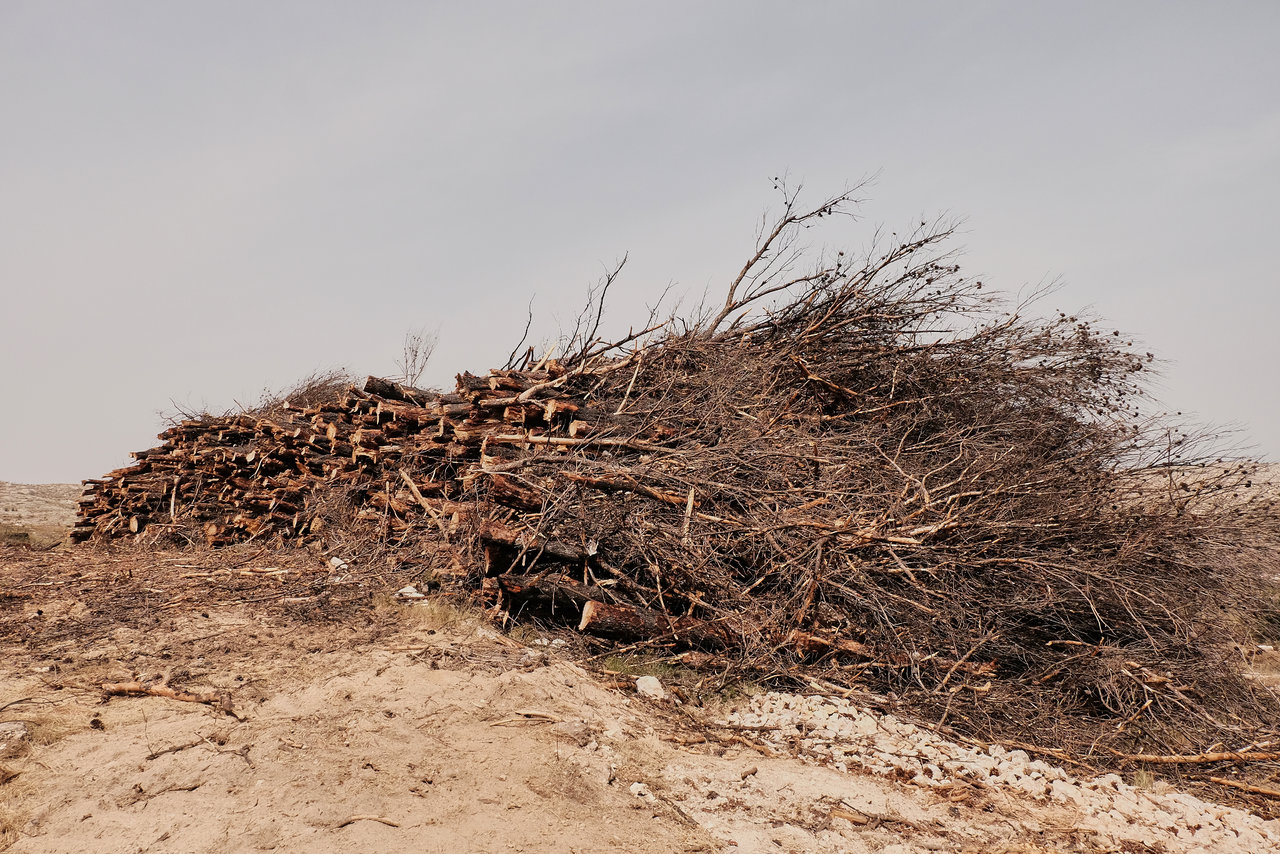 Alcala de la Jovada 1.jpg Alcala de la Jovada 1.jpg