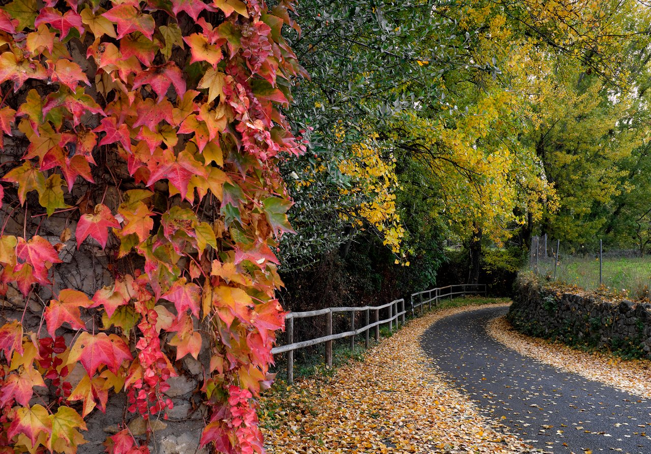 Alicante en otoño.jpg