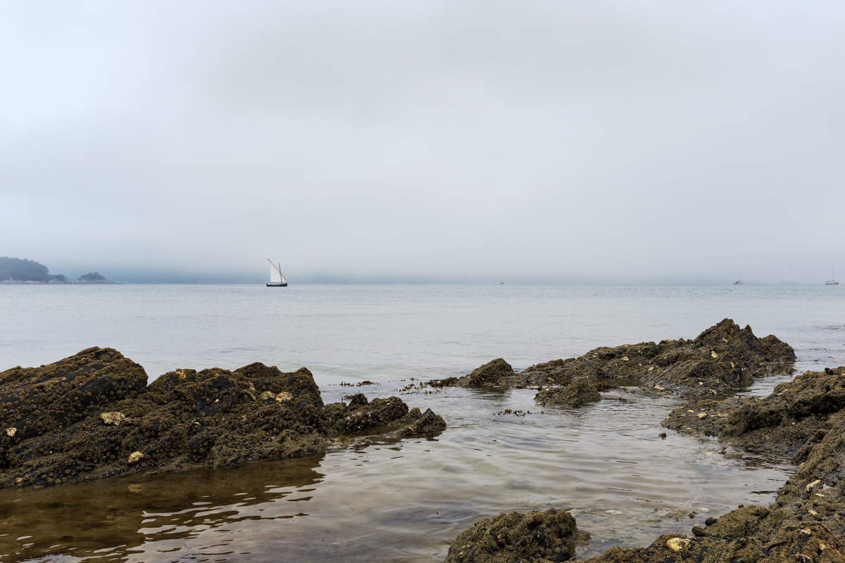 Barco con niebla. Ares, 2020