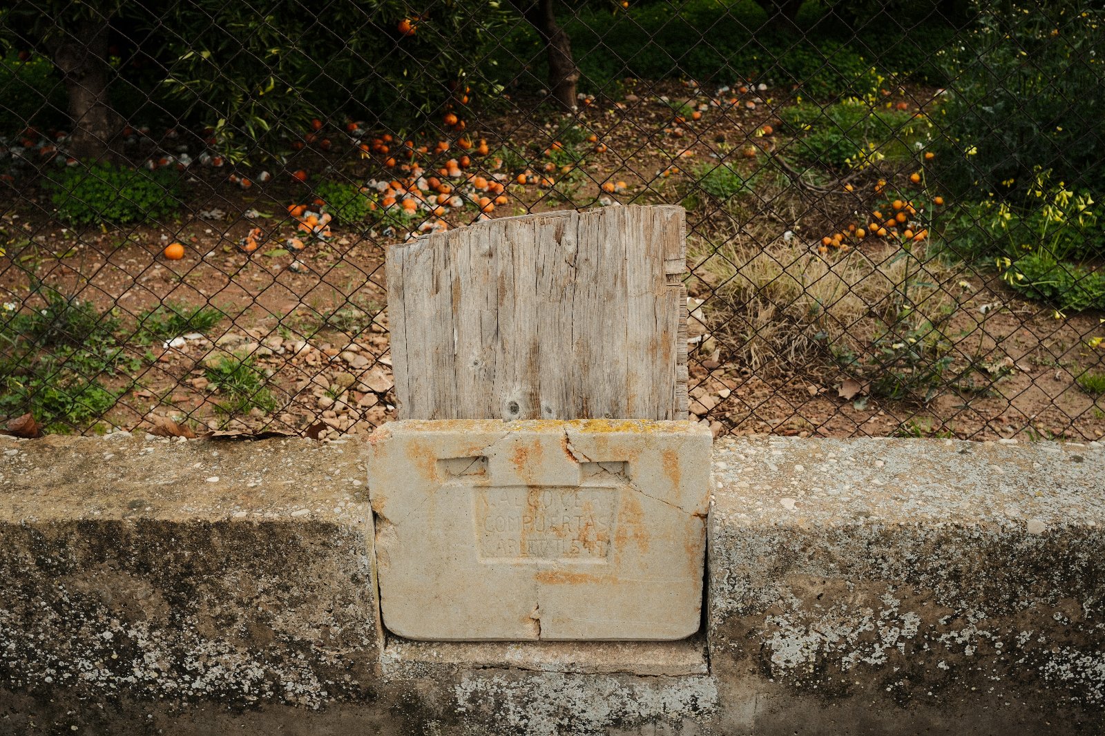 Basura horta.jpg
