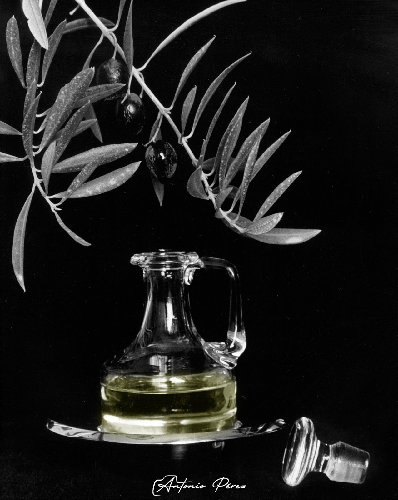 Bodegon.jpg