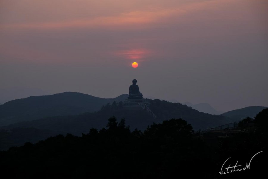 Buddha's hat.JPG