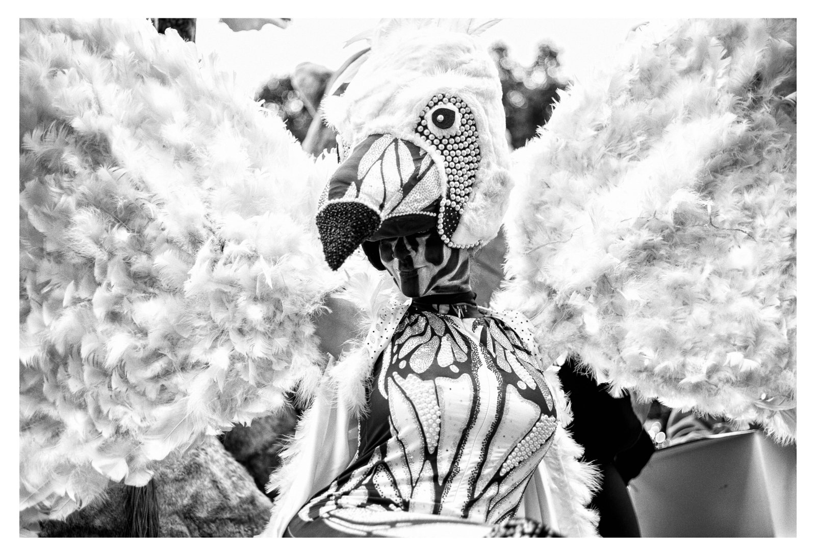 cabalgata reyes guardamar 2026-36-Editar.jpg