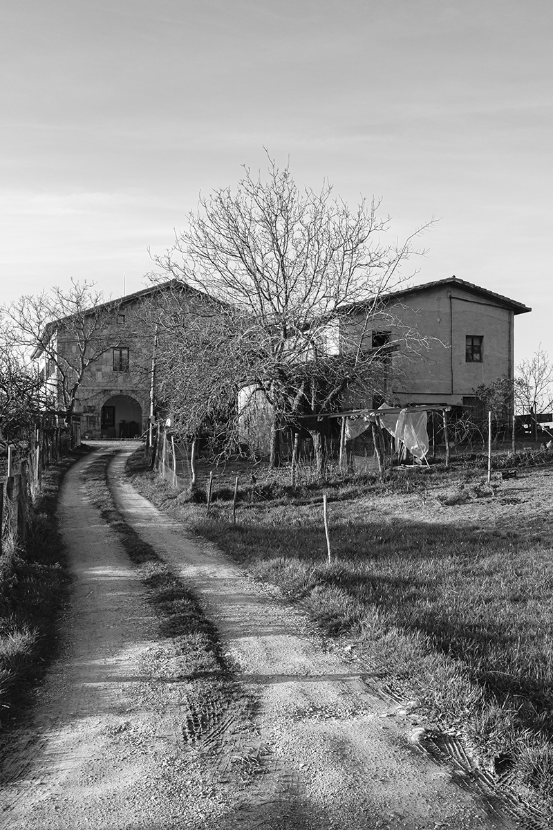 Camino al caserío