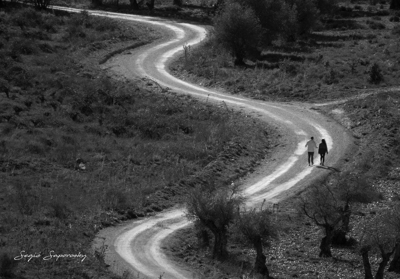 Camino de luz