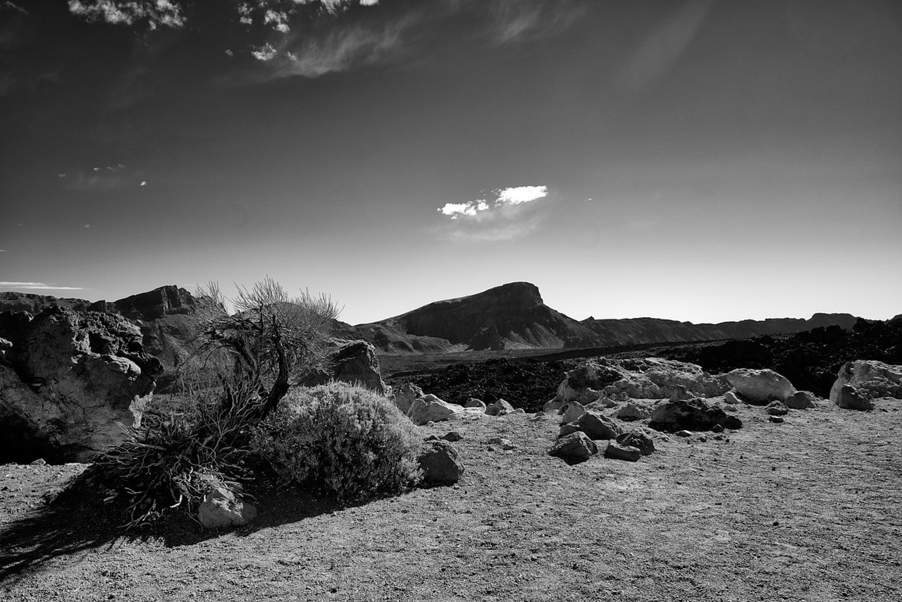 Cañadas del Teide