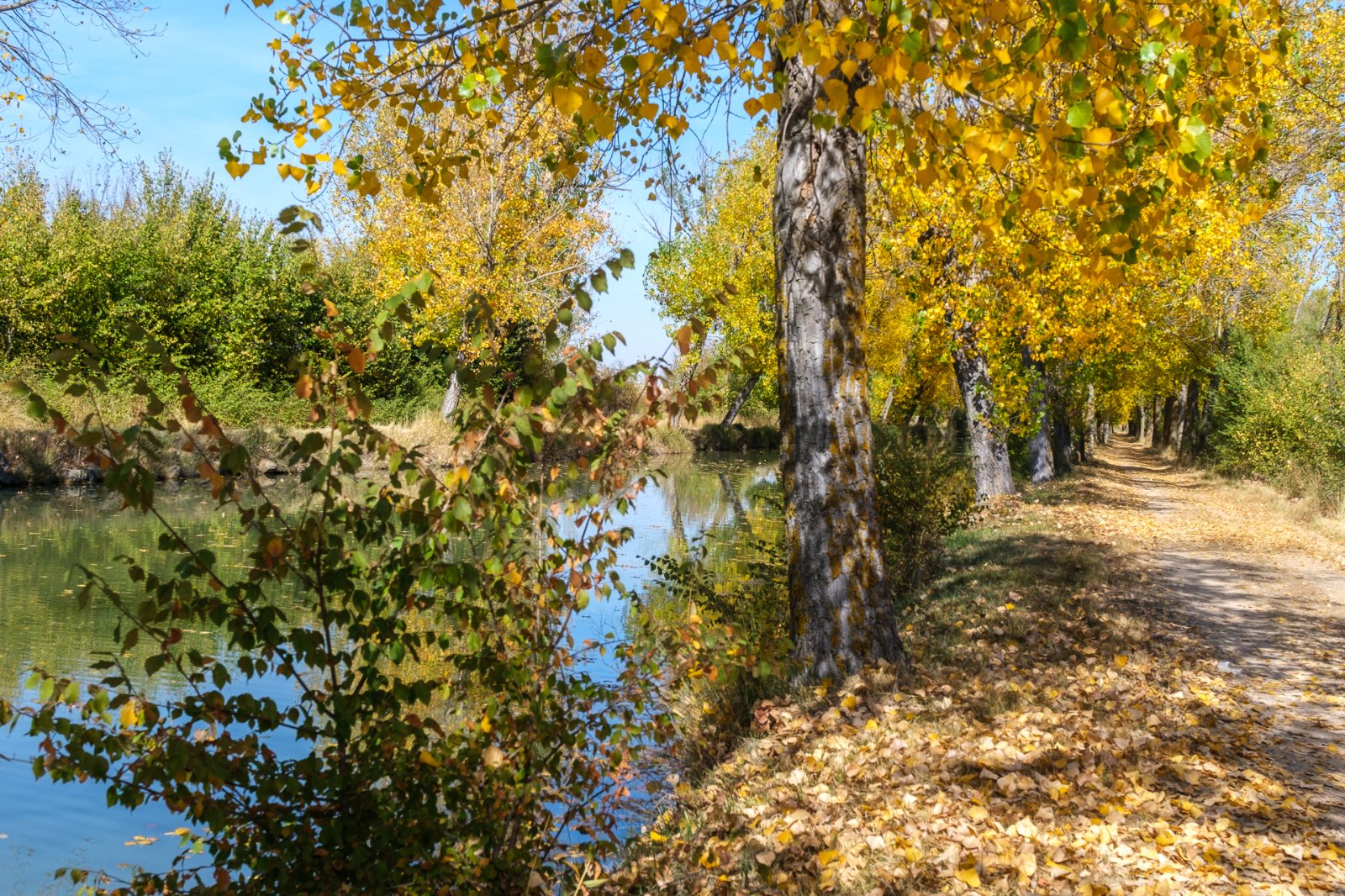 Canal de Castilla 34.jpg