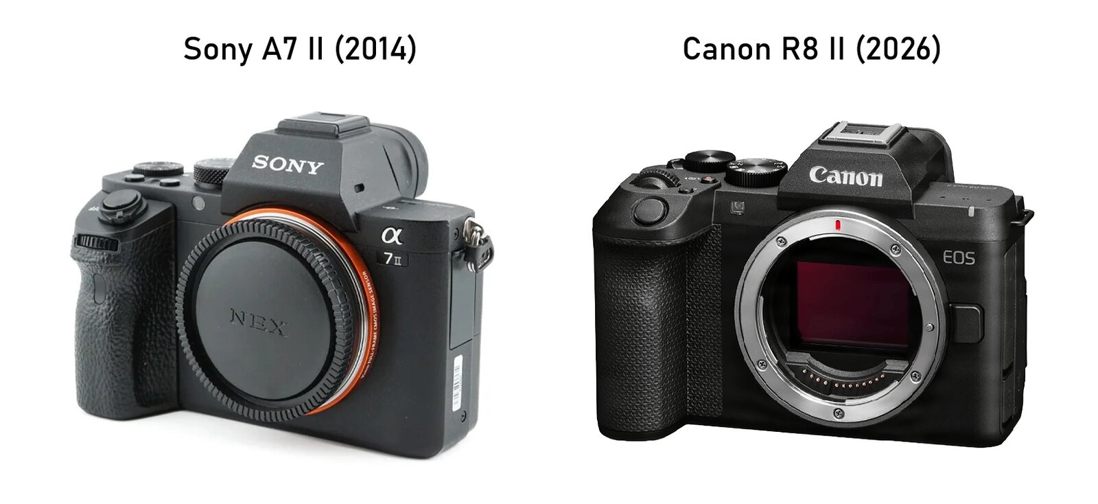 canonr8.jpg