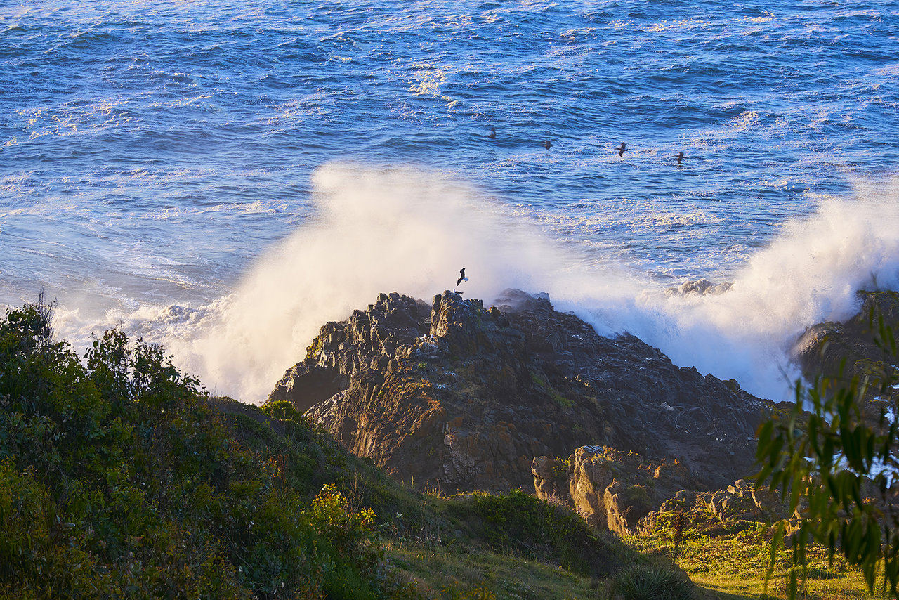 Chile_10.jpg Chile_10.jpg