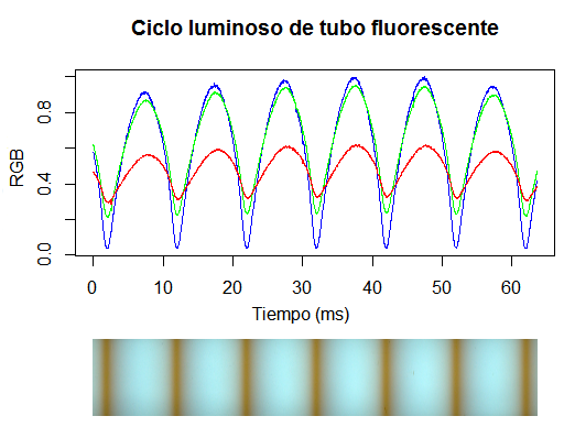 ciclo.png