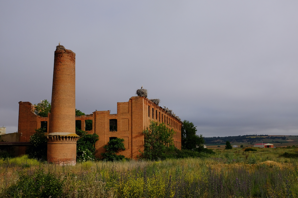 Ciudad de Cigüeñas.jpg