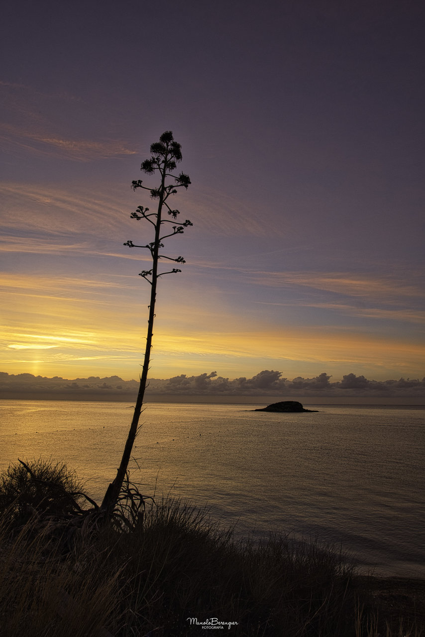 Colores del amanecer.jpg