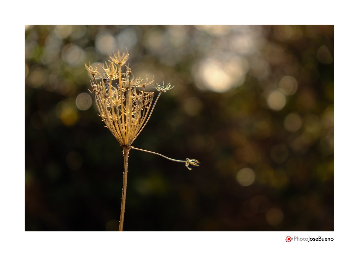 Probando el 18-55mm