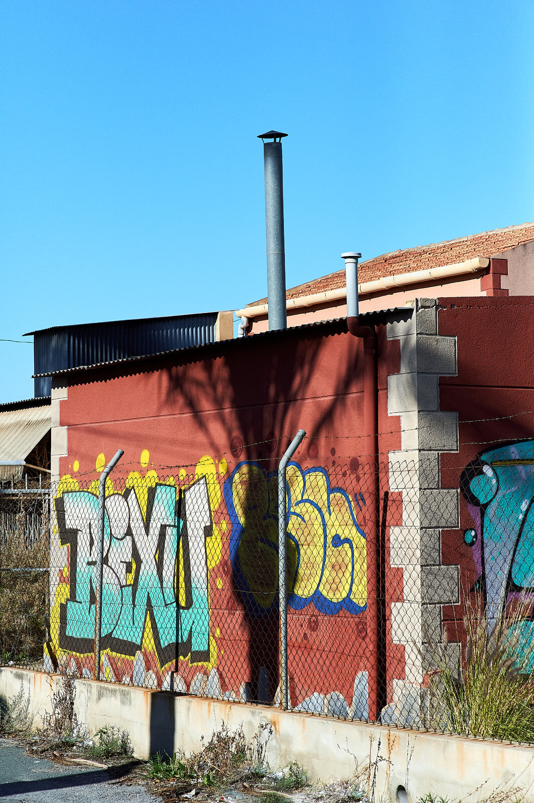 DF50_49.jpg