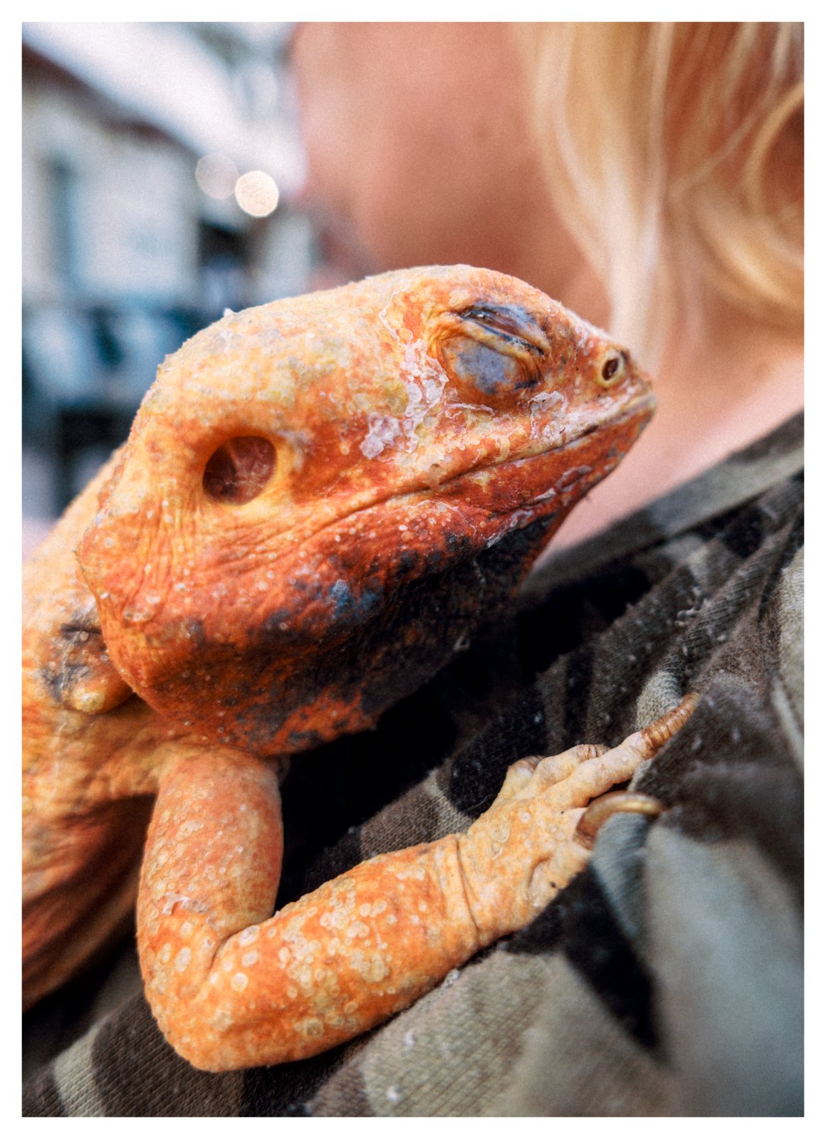 Alien