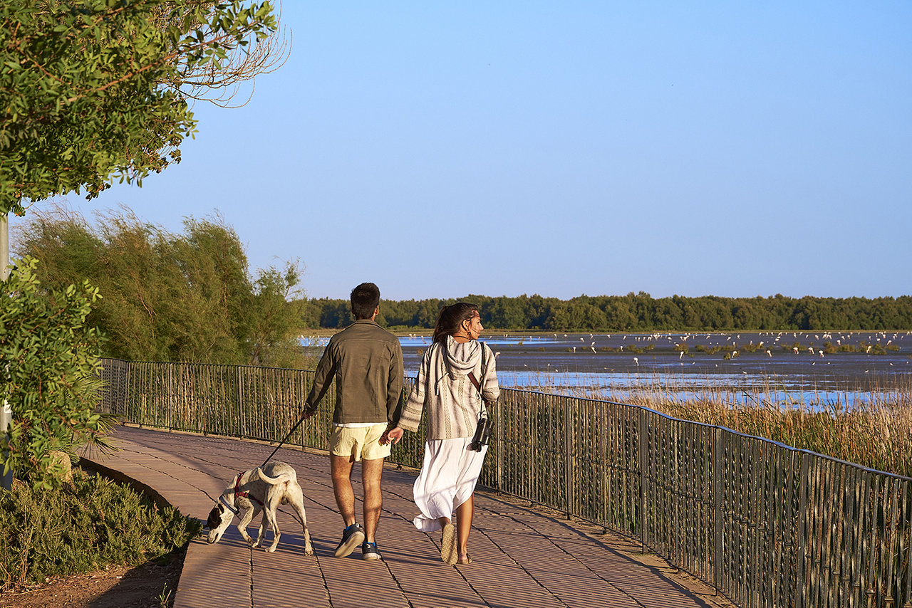 Doñana5.jpg
