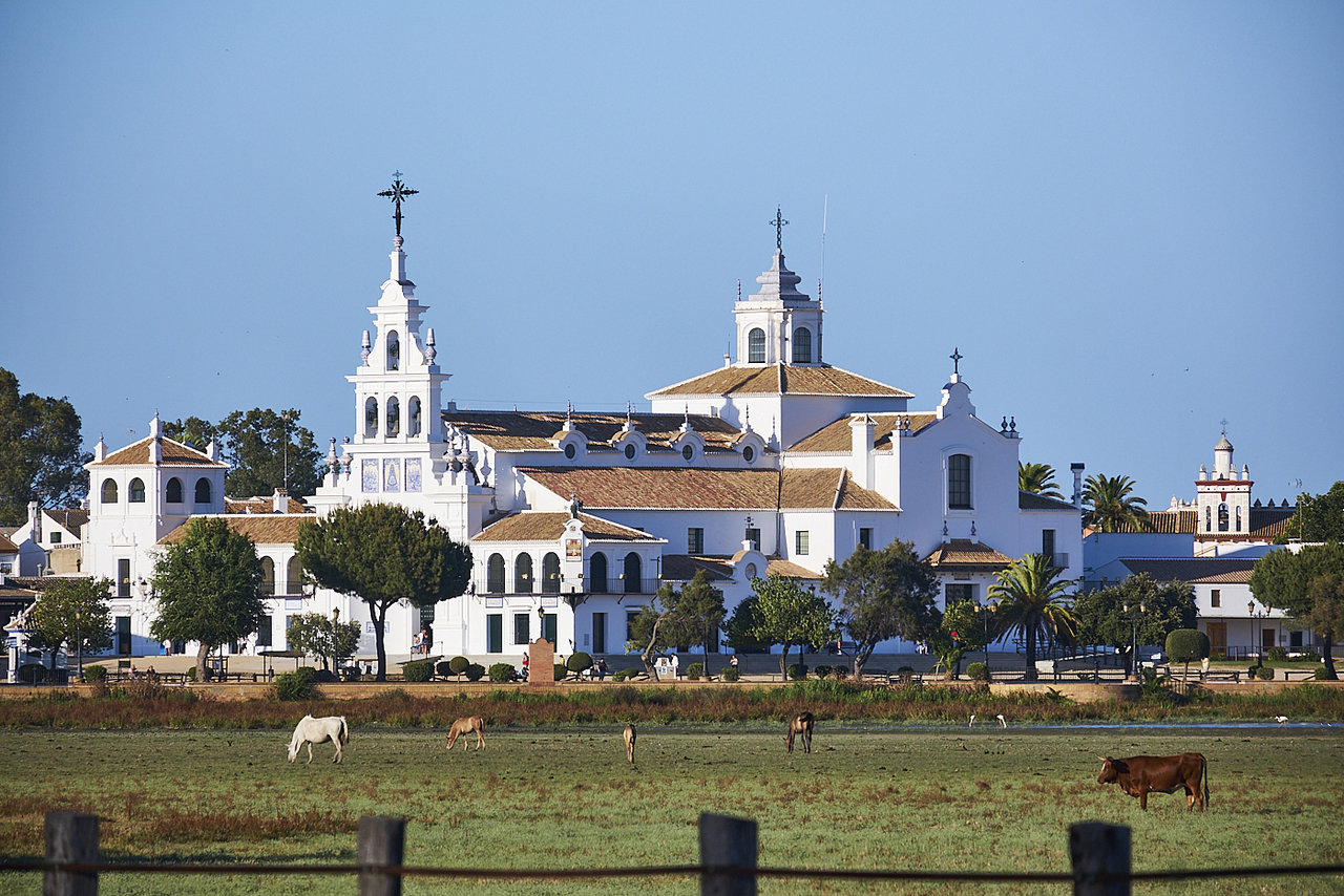 Doñana y entorno