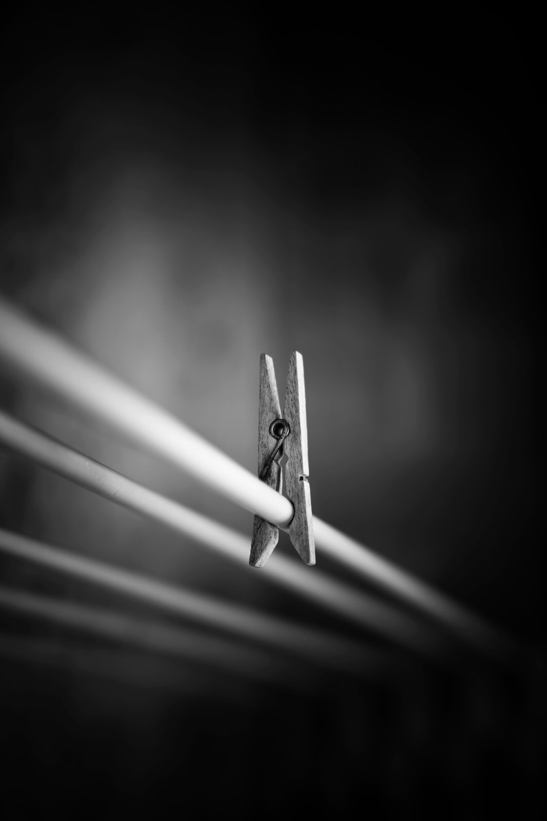 DSC02123 (1).JPG