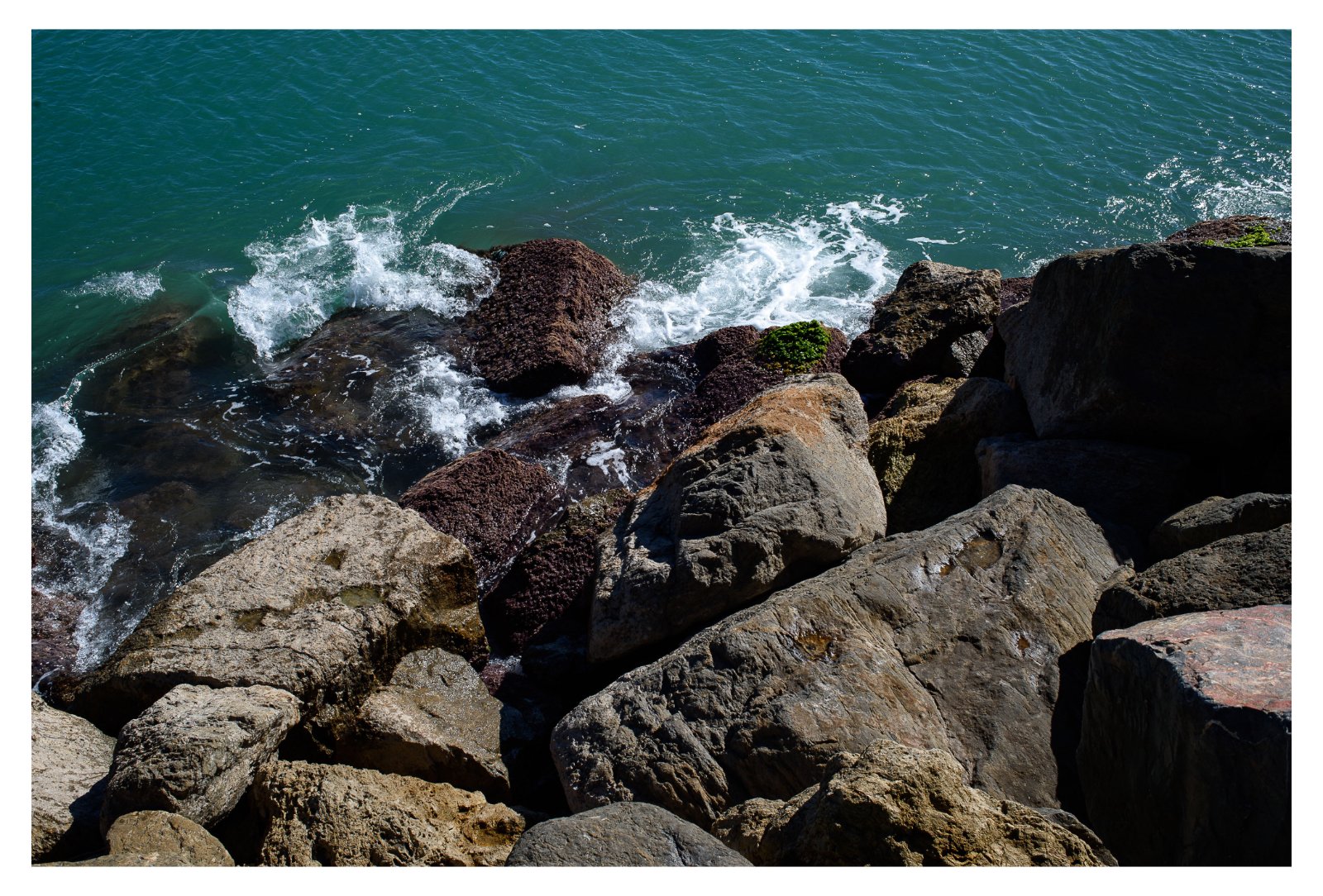 DSC_1359.jpg