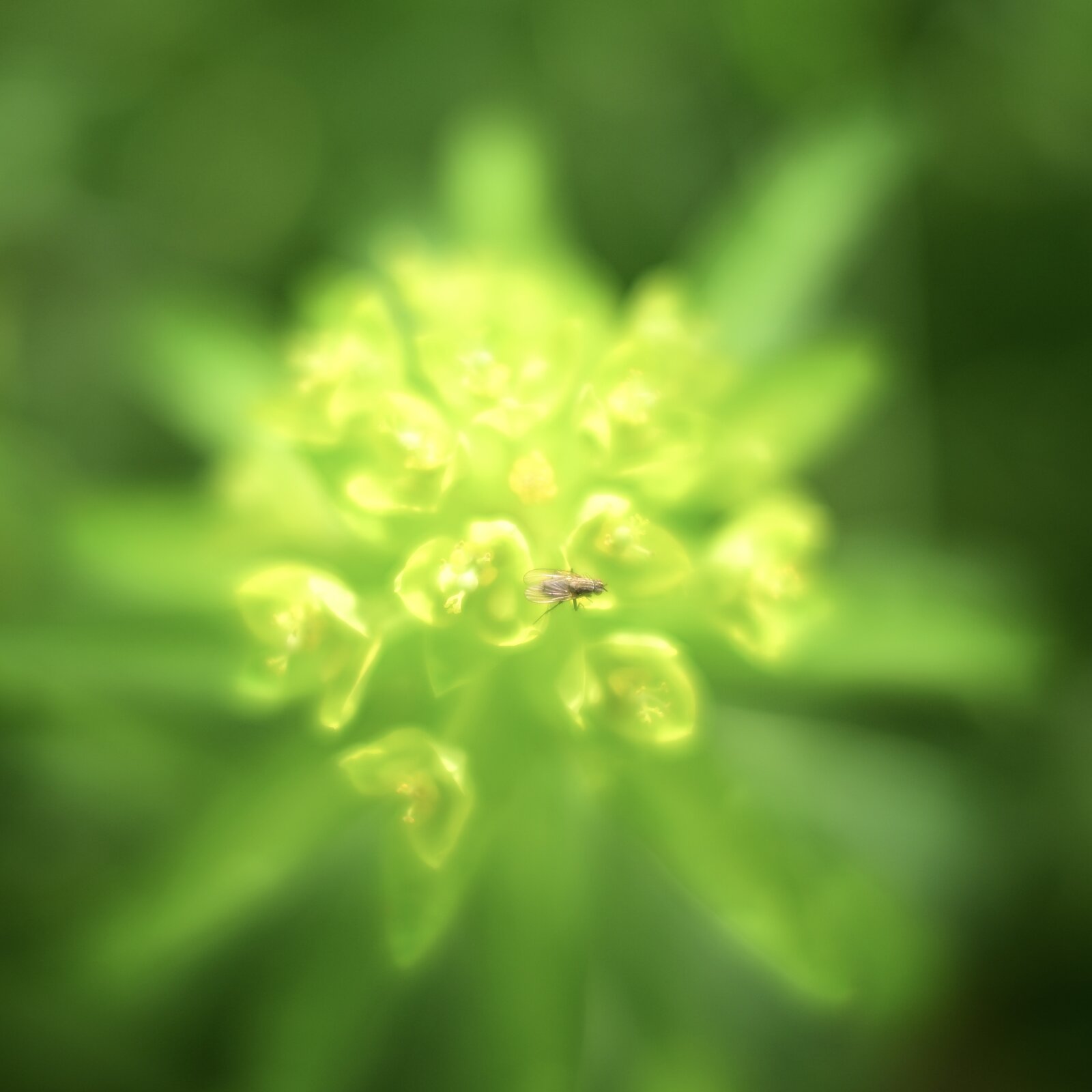 DSC_2069.jpeg