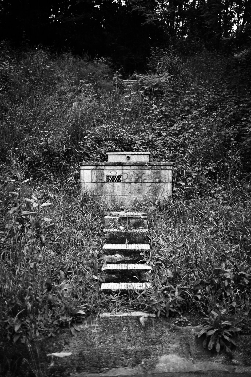 DSC_2283.jpeg