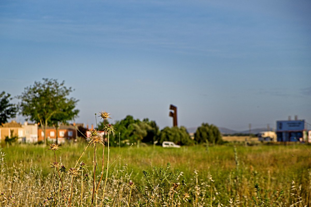 Paisaje matutino