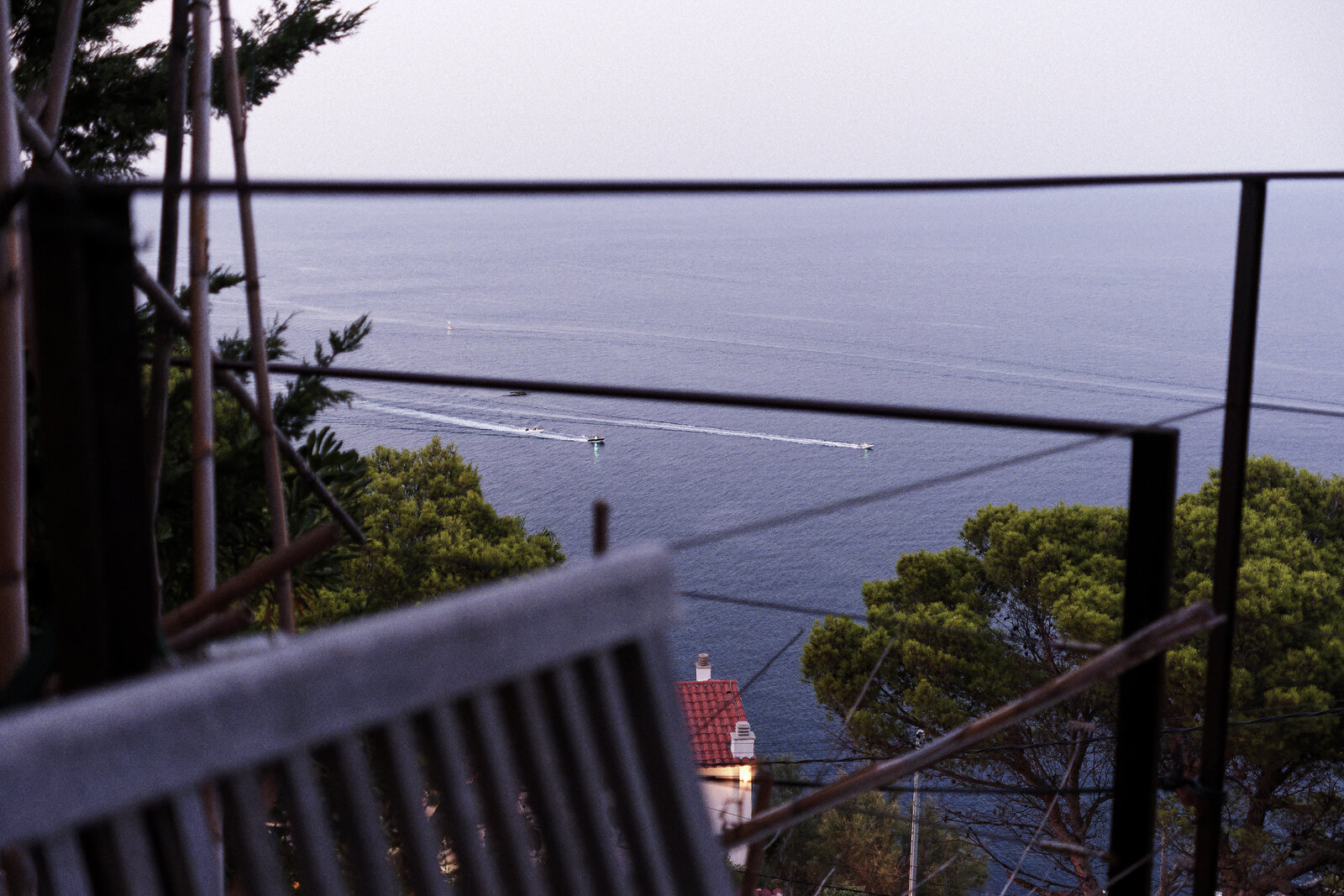 DSCF0009-20250815.jpg