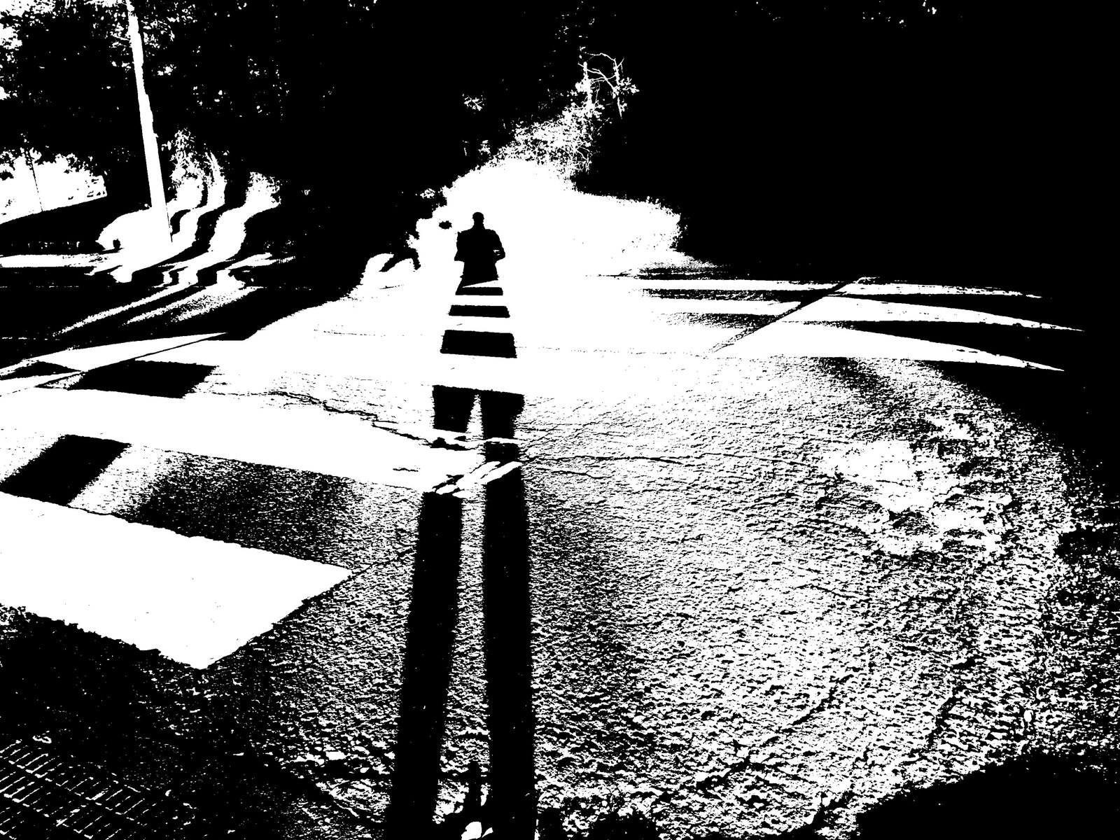 DSCF0107.JPG