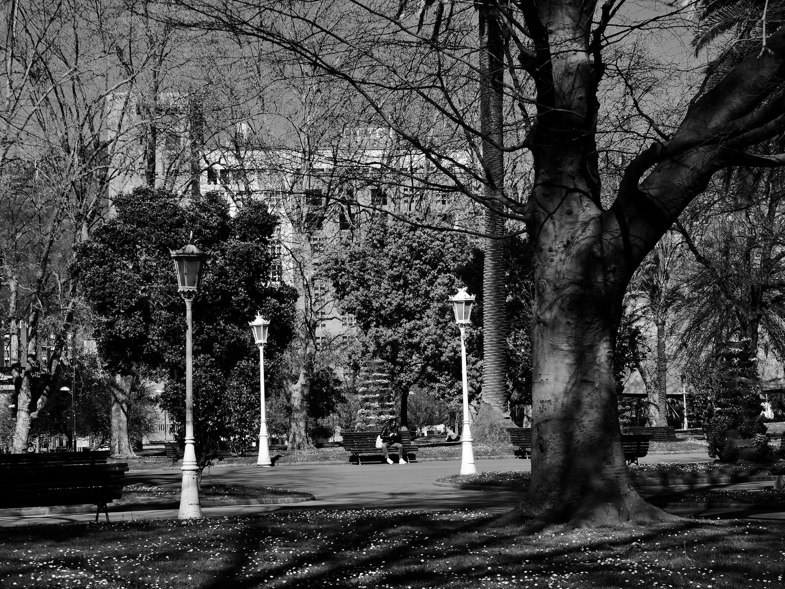 DSCF0408.jpg