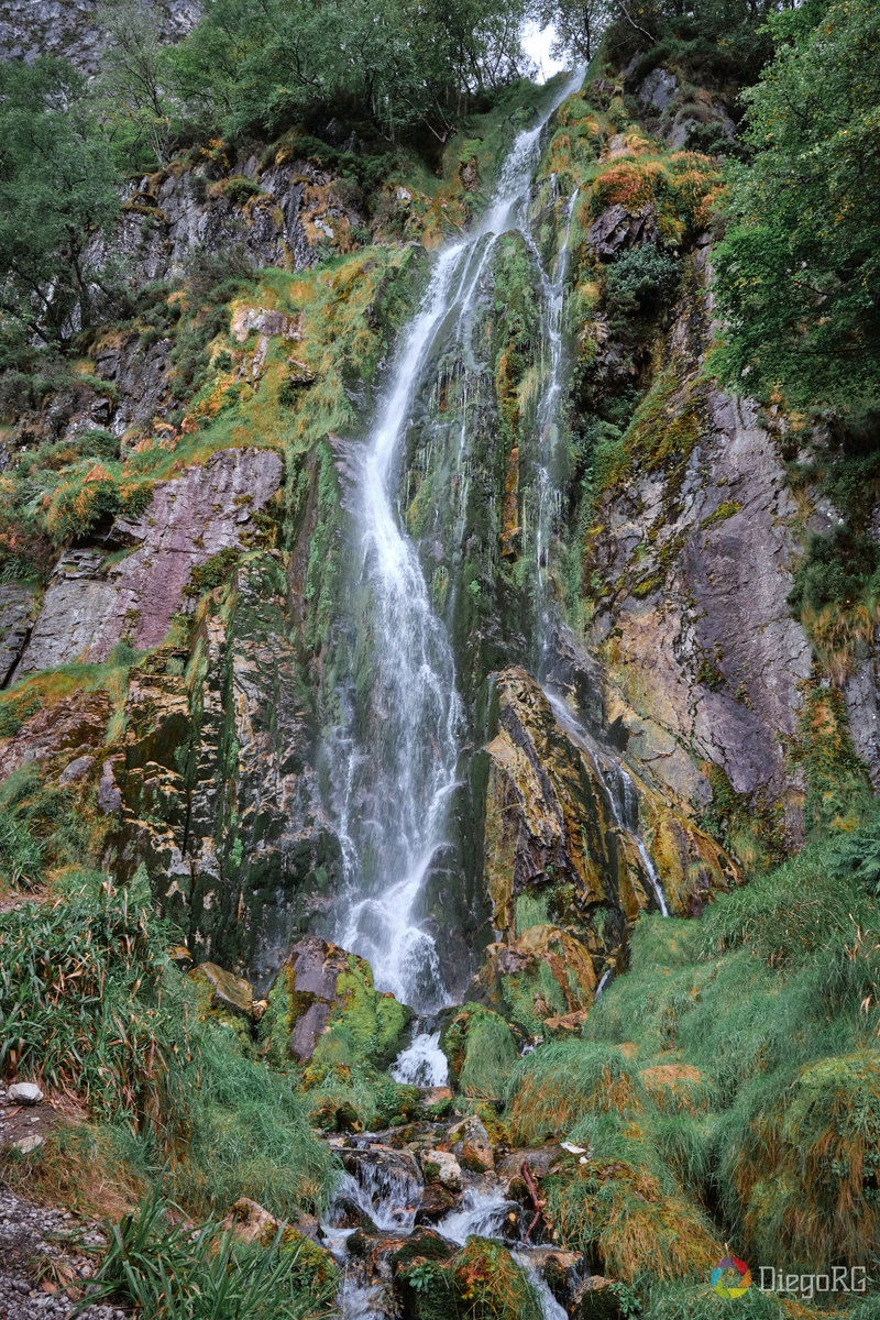 Naturaleza en estado puro