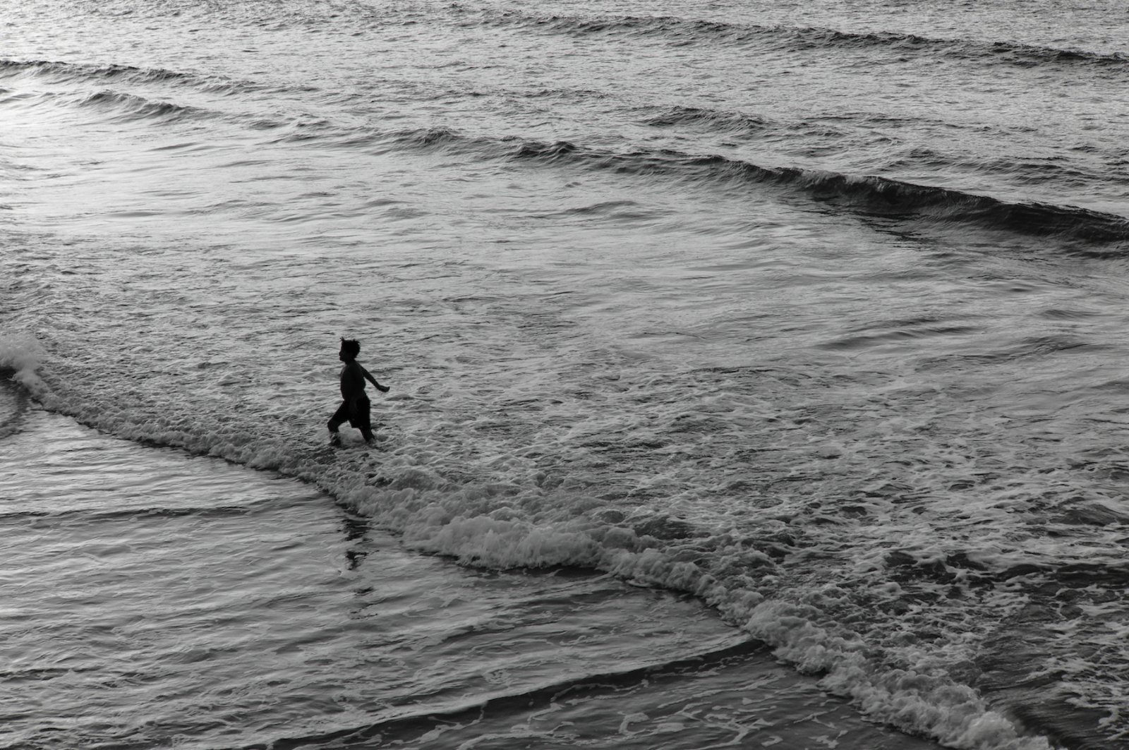 DSCF0678.jpg