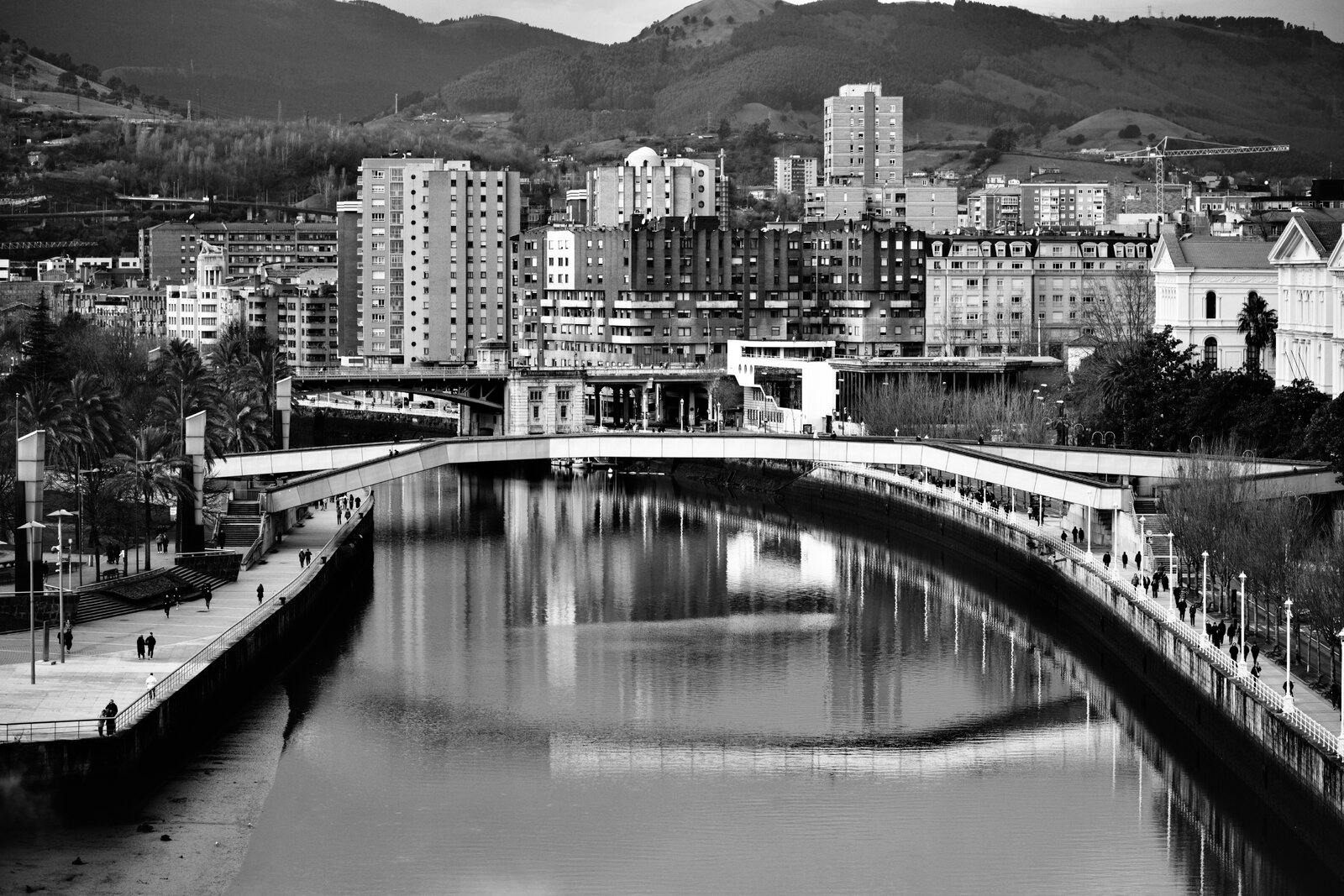 DSCF0848.jpg