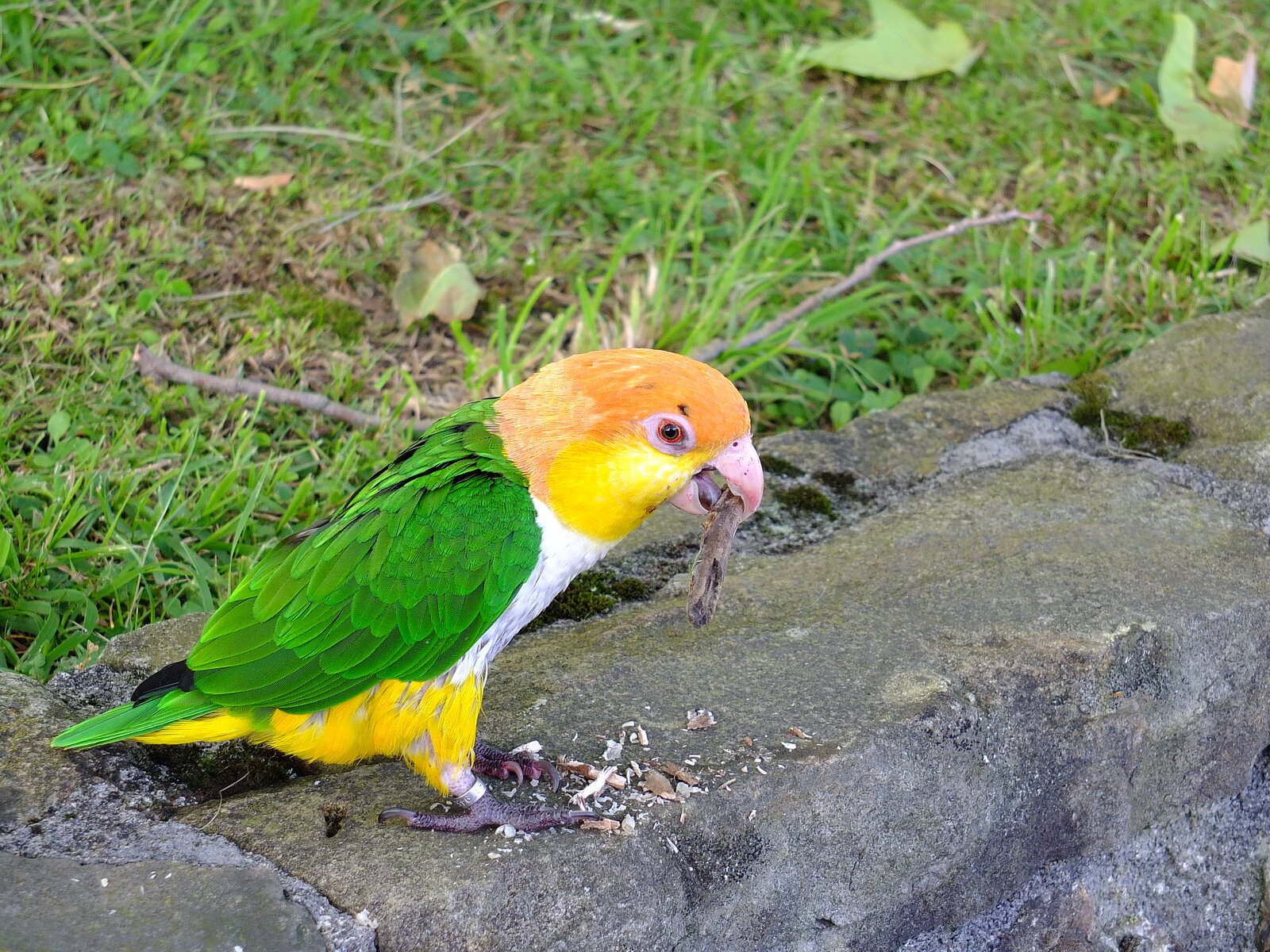 DSCF1148.JPG
