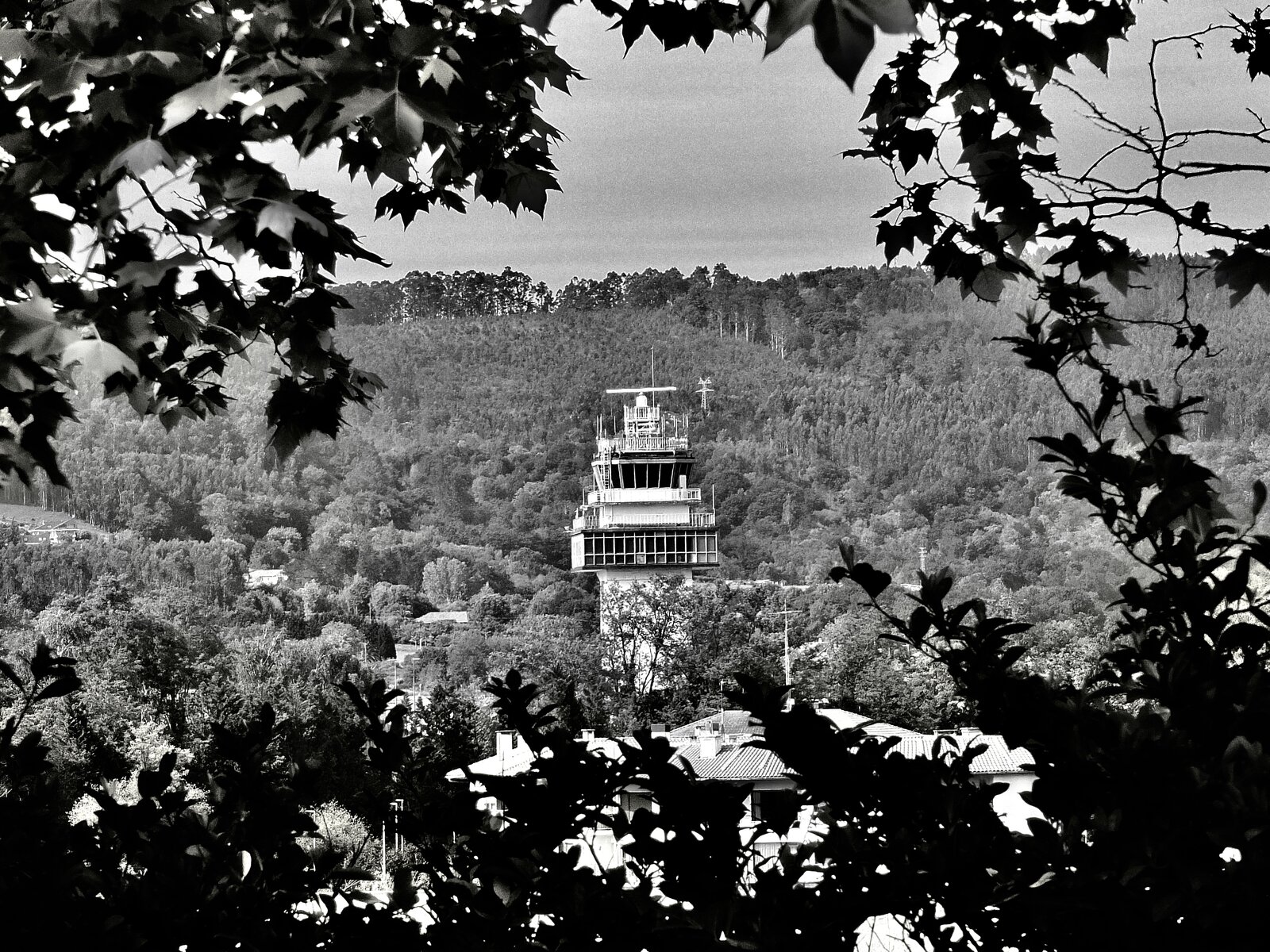 DSCF1150.jpg