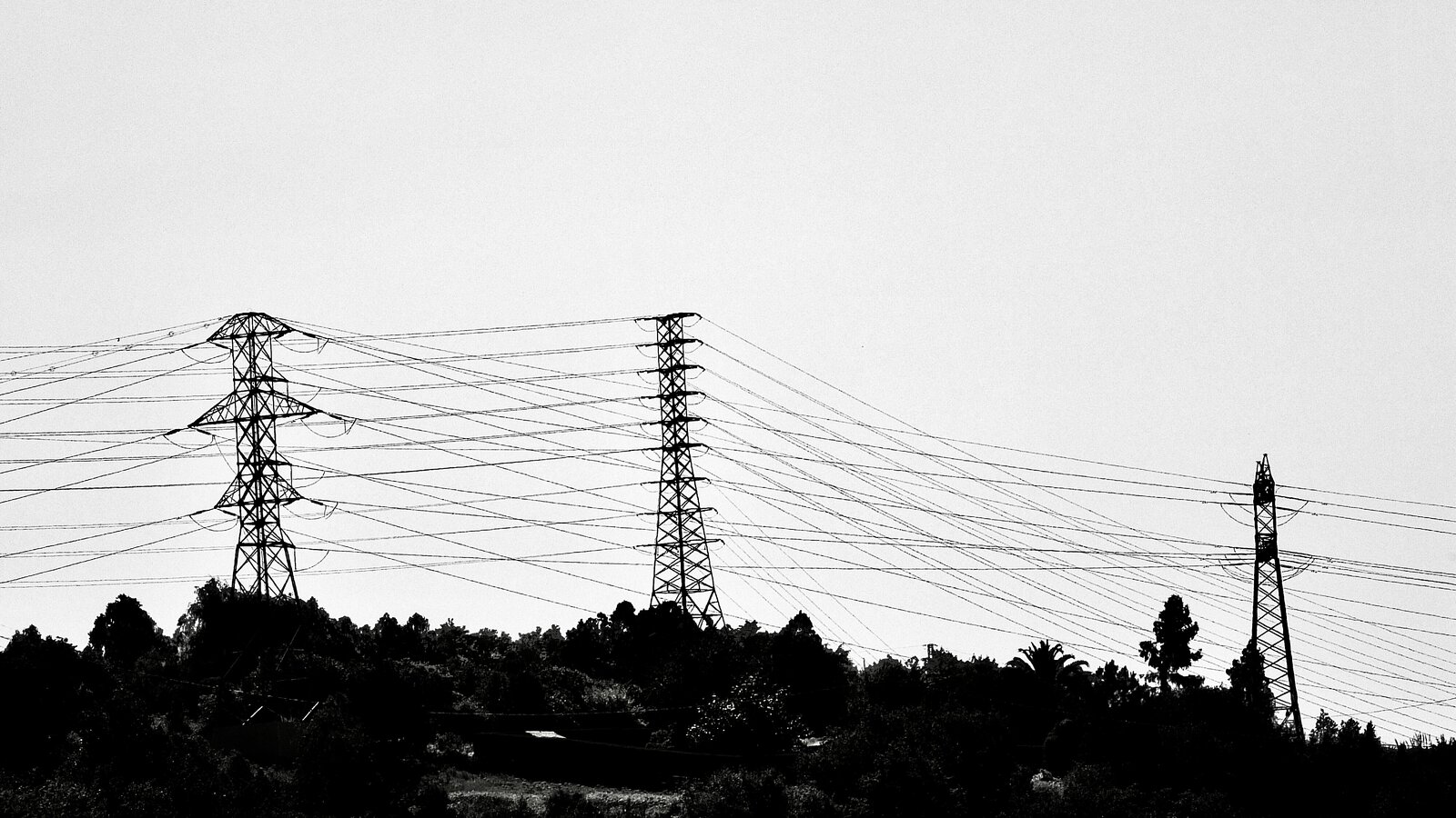DSCF1314.jpg