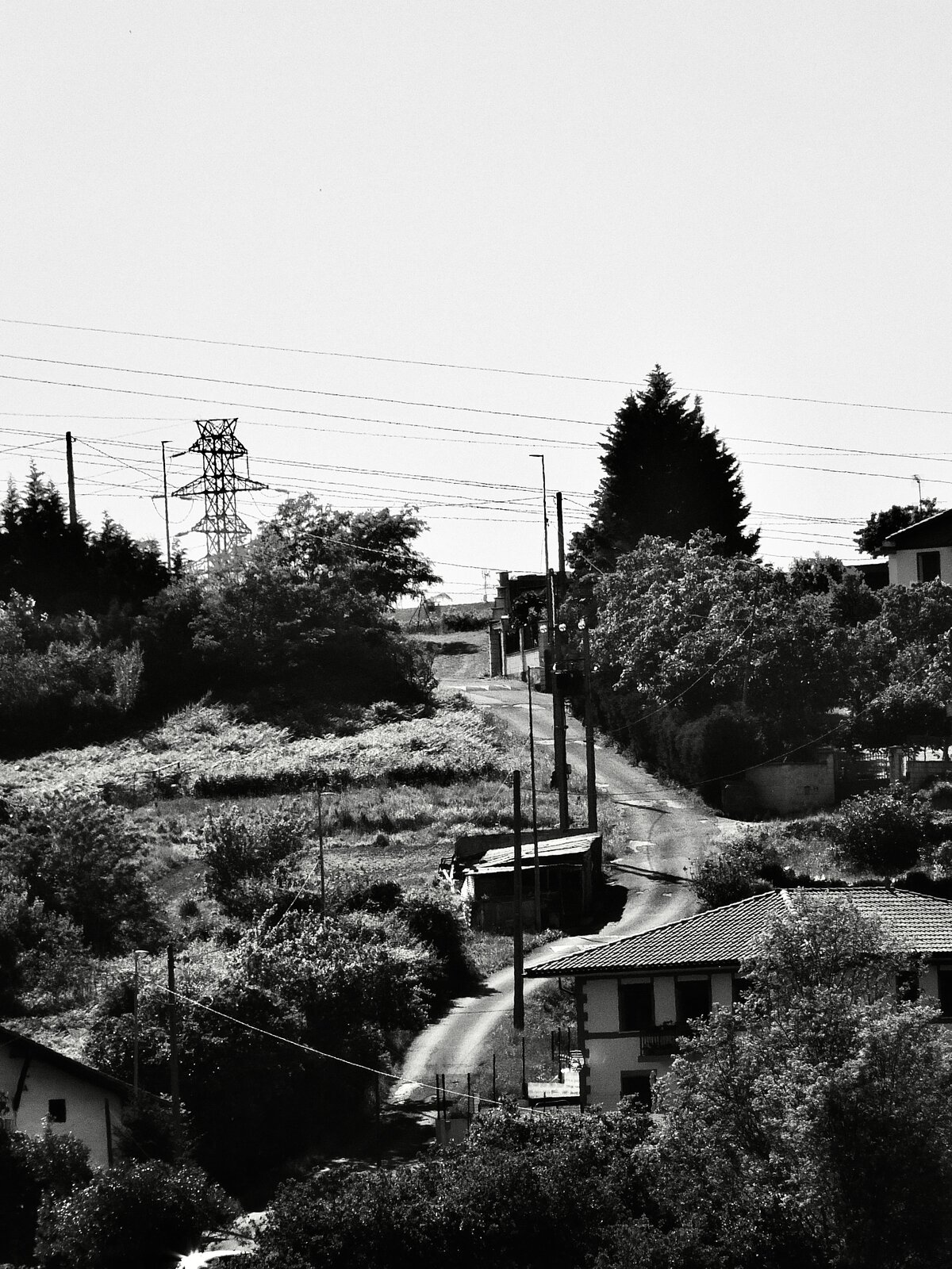 DSCF1315.jpg