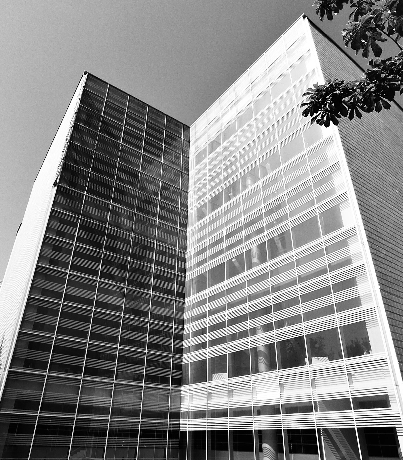 DSCF1448 2.jpg