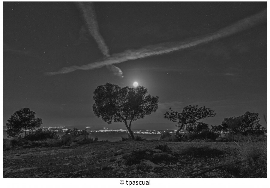 A la luz de la luna