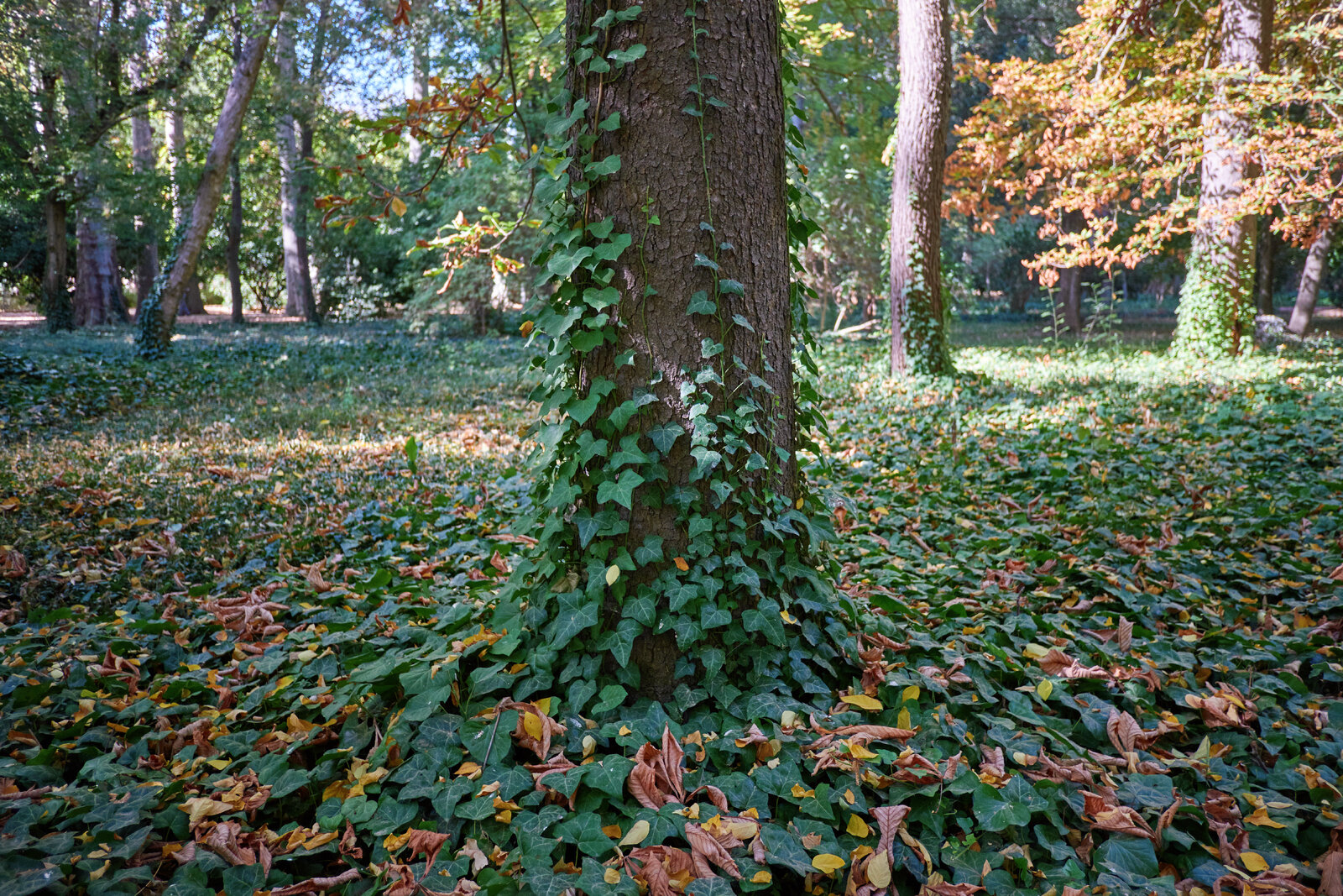 DSCF1890.jpg