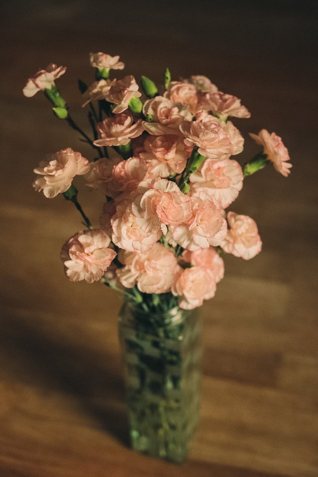 DSCF2079.jpg
