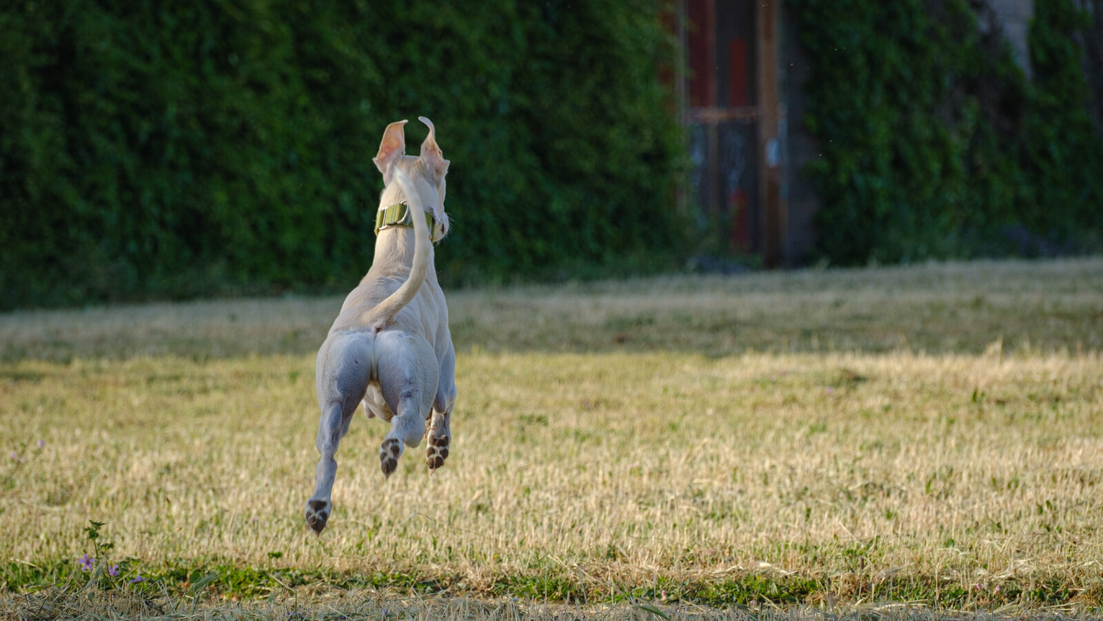 DSCF2273.jpg