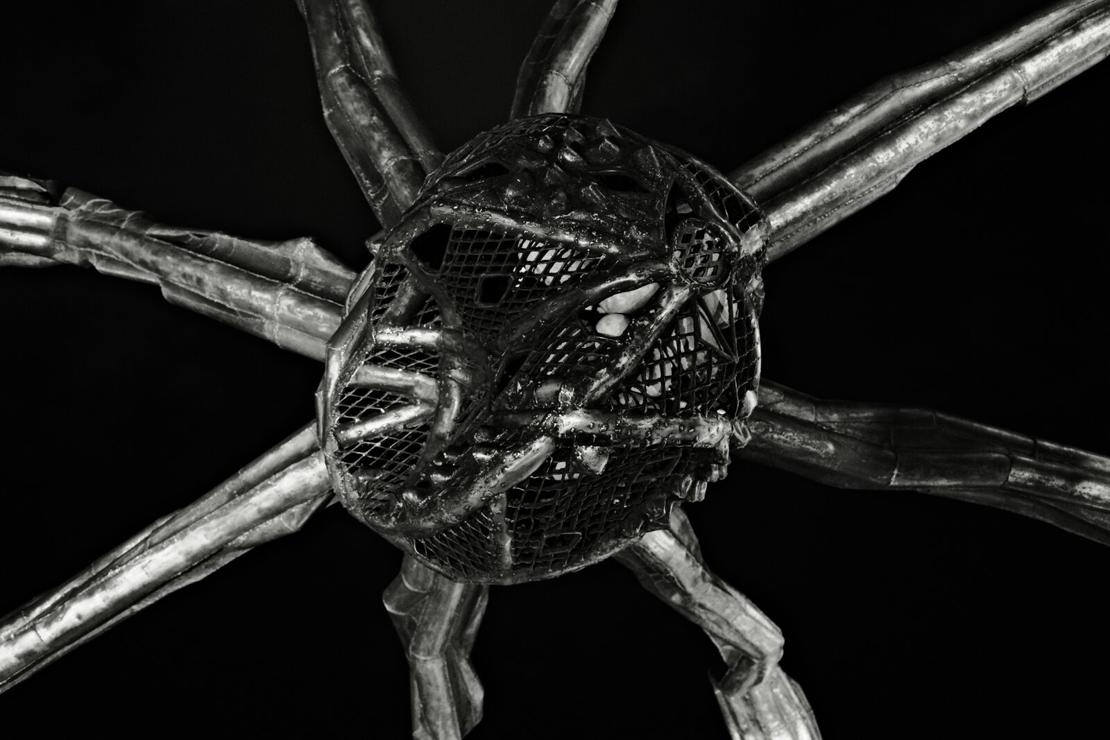 DSCF2517.JPG
