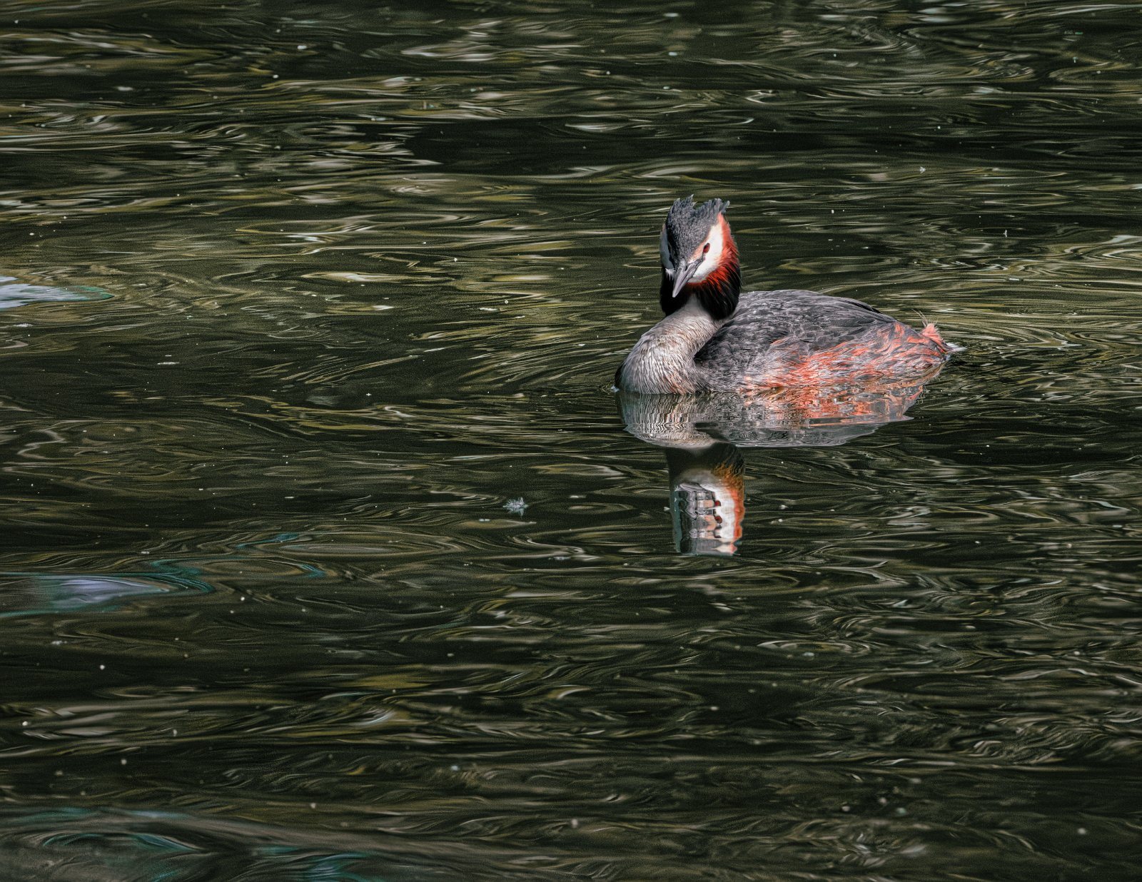 DSCF2567-Editar.jpg