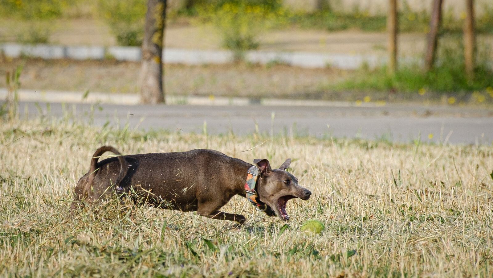 DSCF2567.jpg