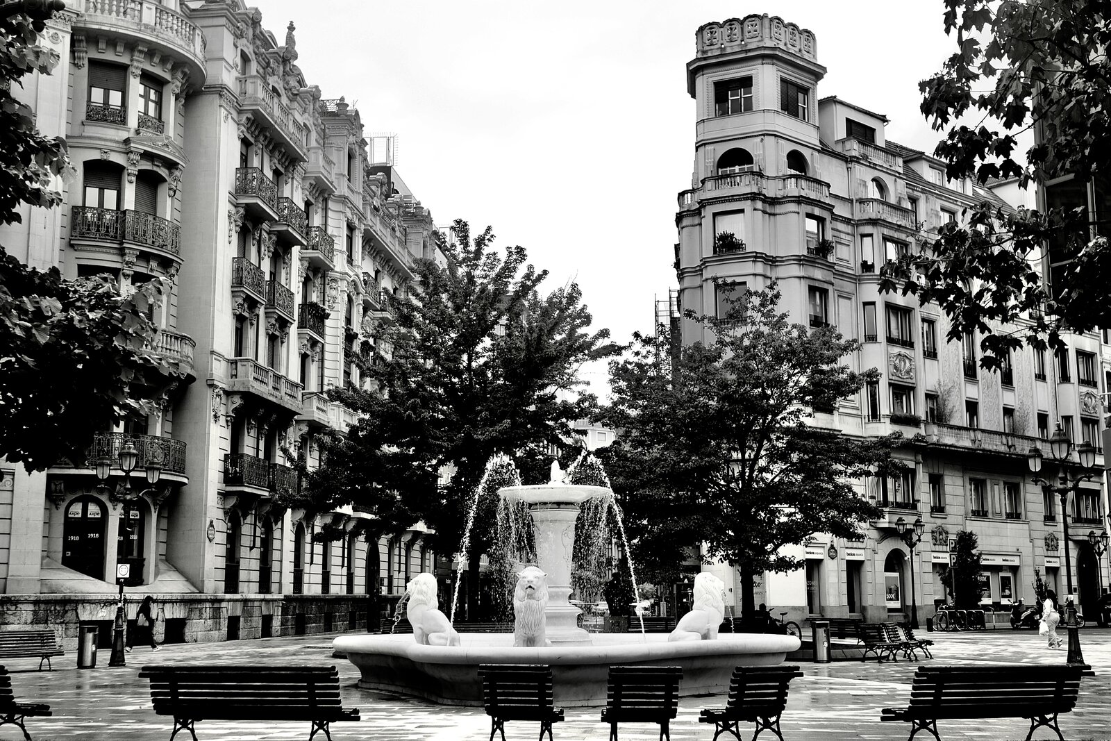 DSCF2581.jpg