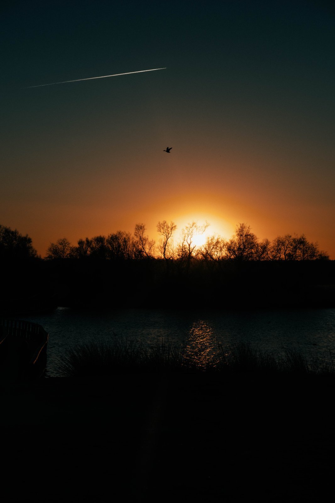 DSCF2731.jpg