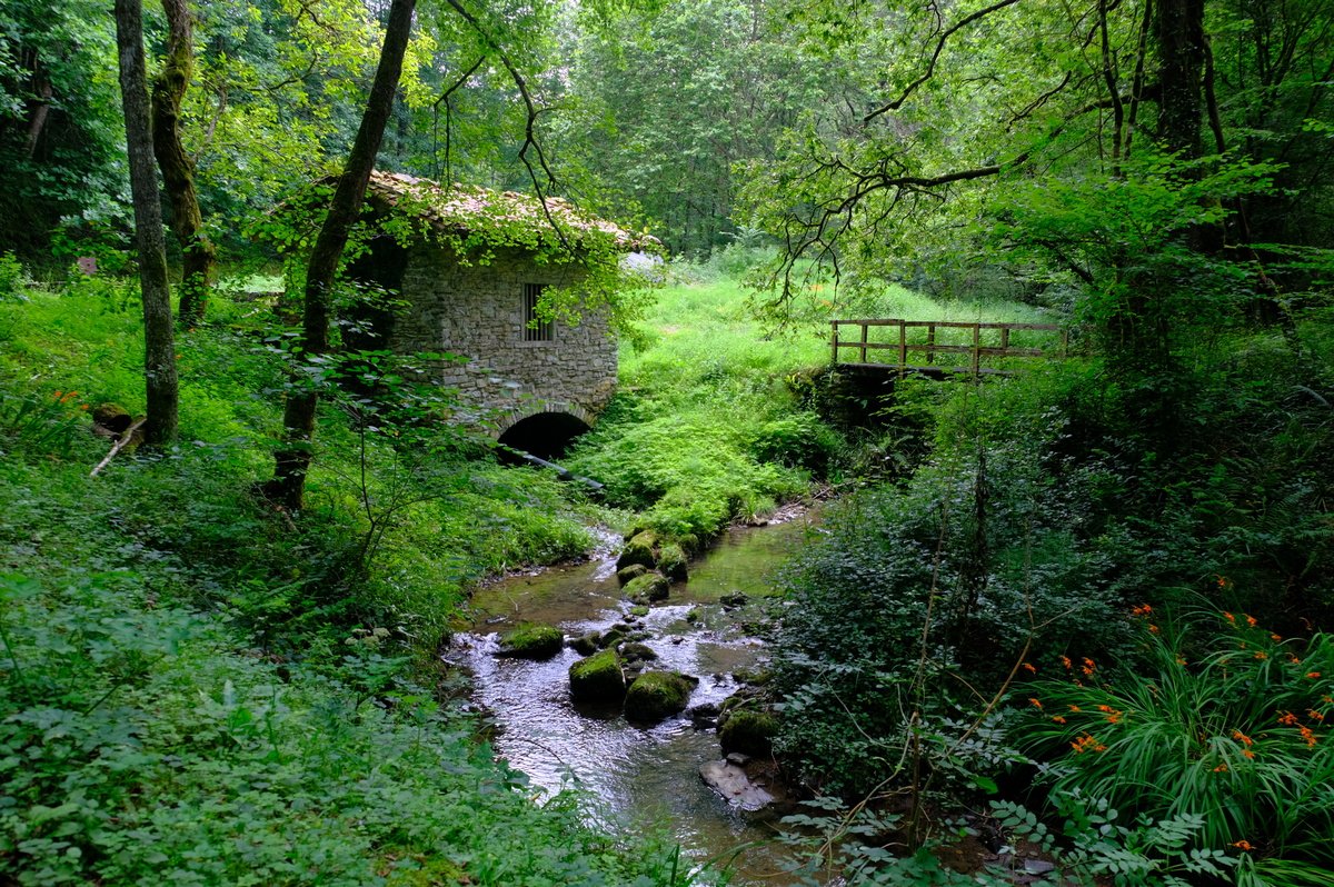 DSCF3655o.JPG