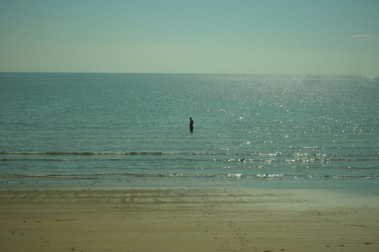 DSCF3684.jpg