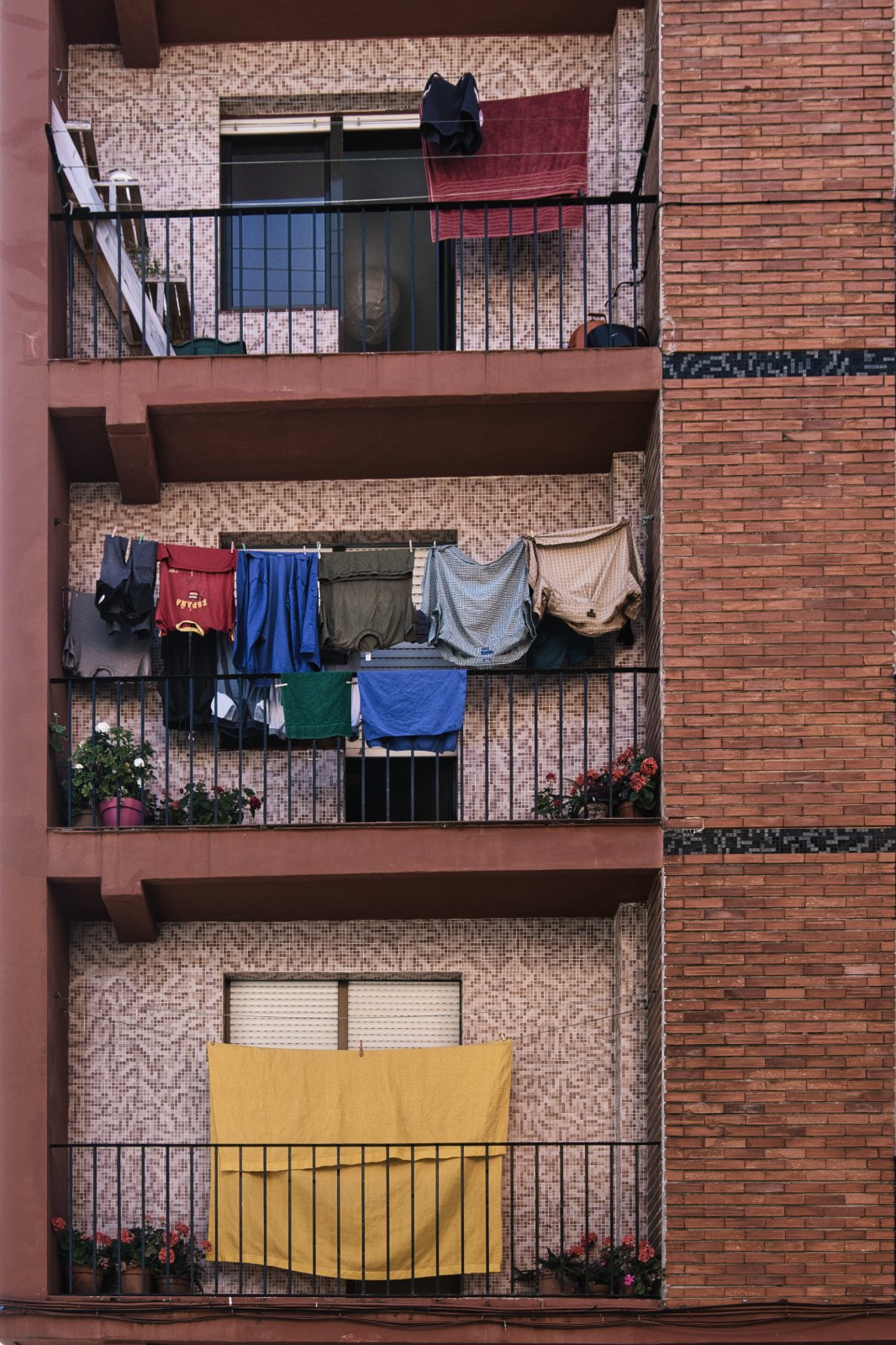 DSCF3706.jpg