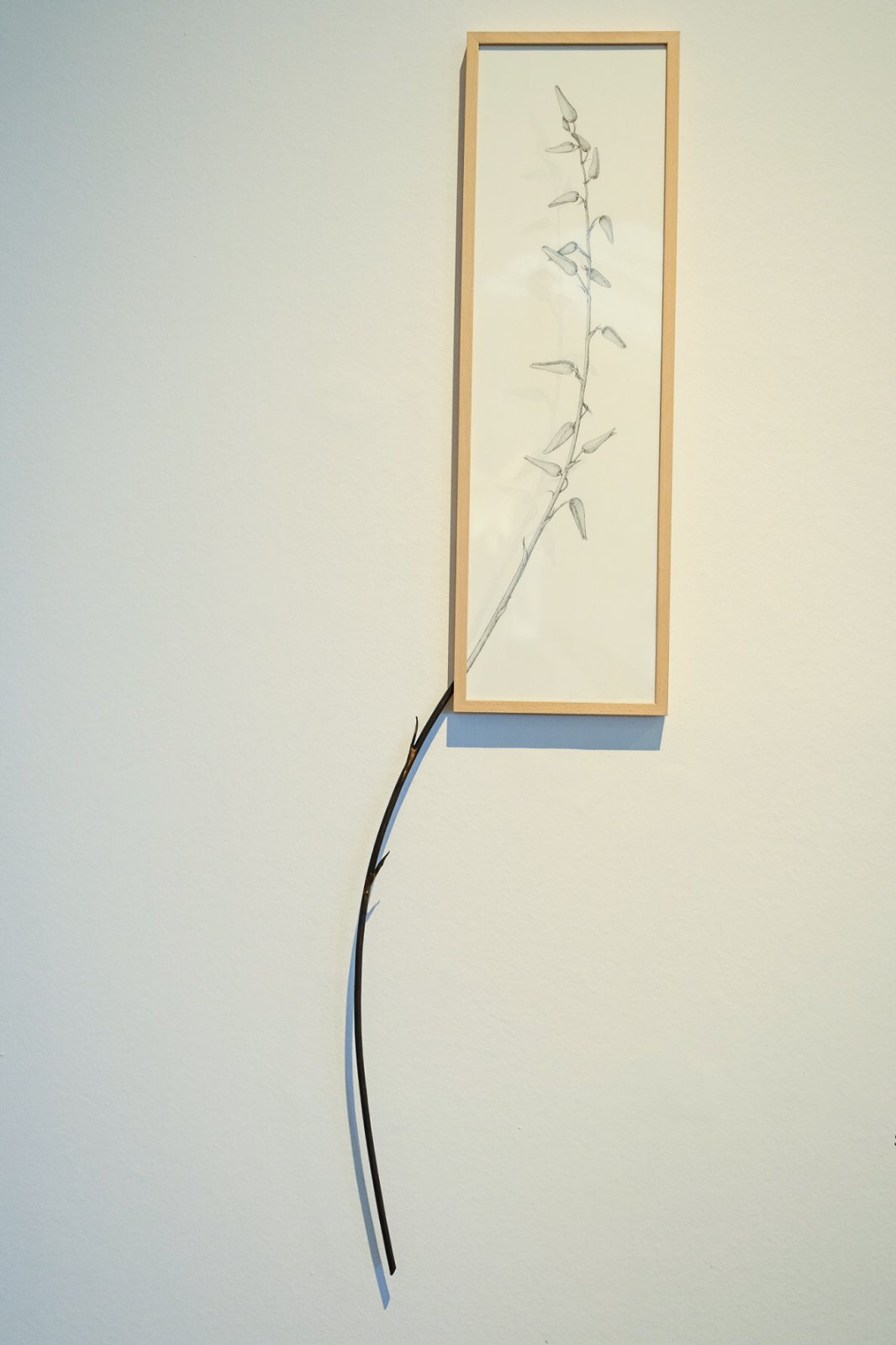 DSCF3736.jpg